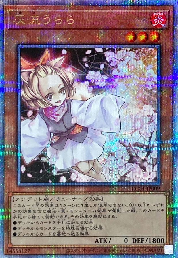遊戯王 灰流うらら プリシク プリズマティックシークレットレア 新規絵