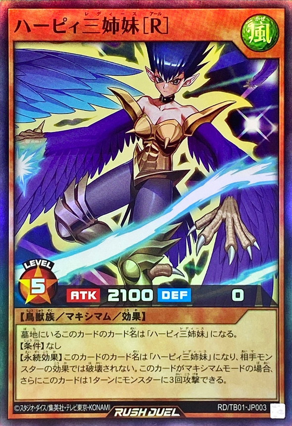 遊戯王 レジェンドデビル エラーカード ネームエラー ハーピィレディ三