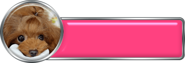 マイクロ・ティーカッププードル｜子犬誕生情報＆ママ犬紹介＆成約実績