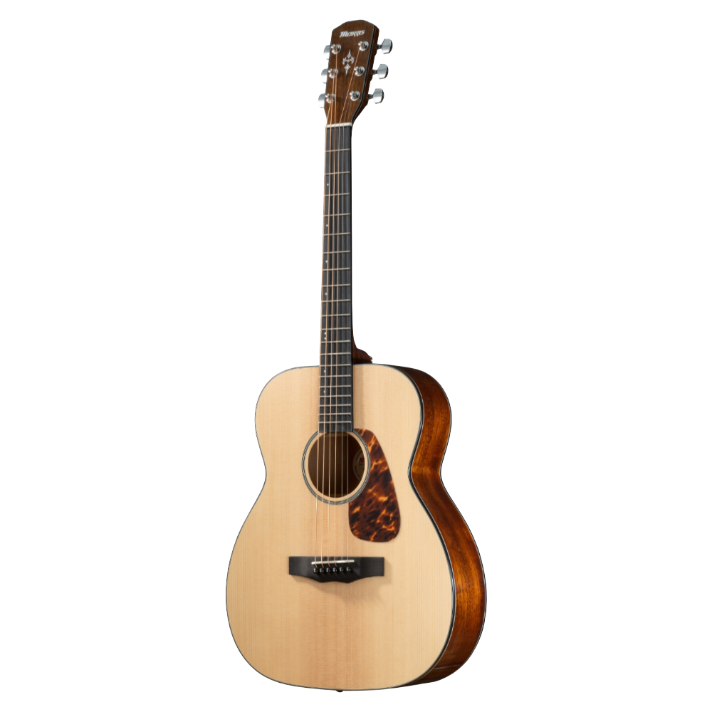 綺麗目 Morris MF-251N モーリス アコギ ギター