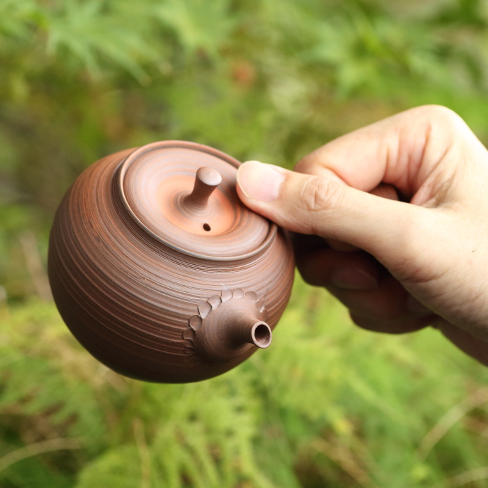 水野博之 窯変朱泥急須 満容量240ml 作家もの常滑焼煎茶器 日本茶中国