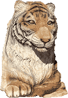 虎 寅 トラの木彫刻 チェンソーアート・ジャパン
