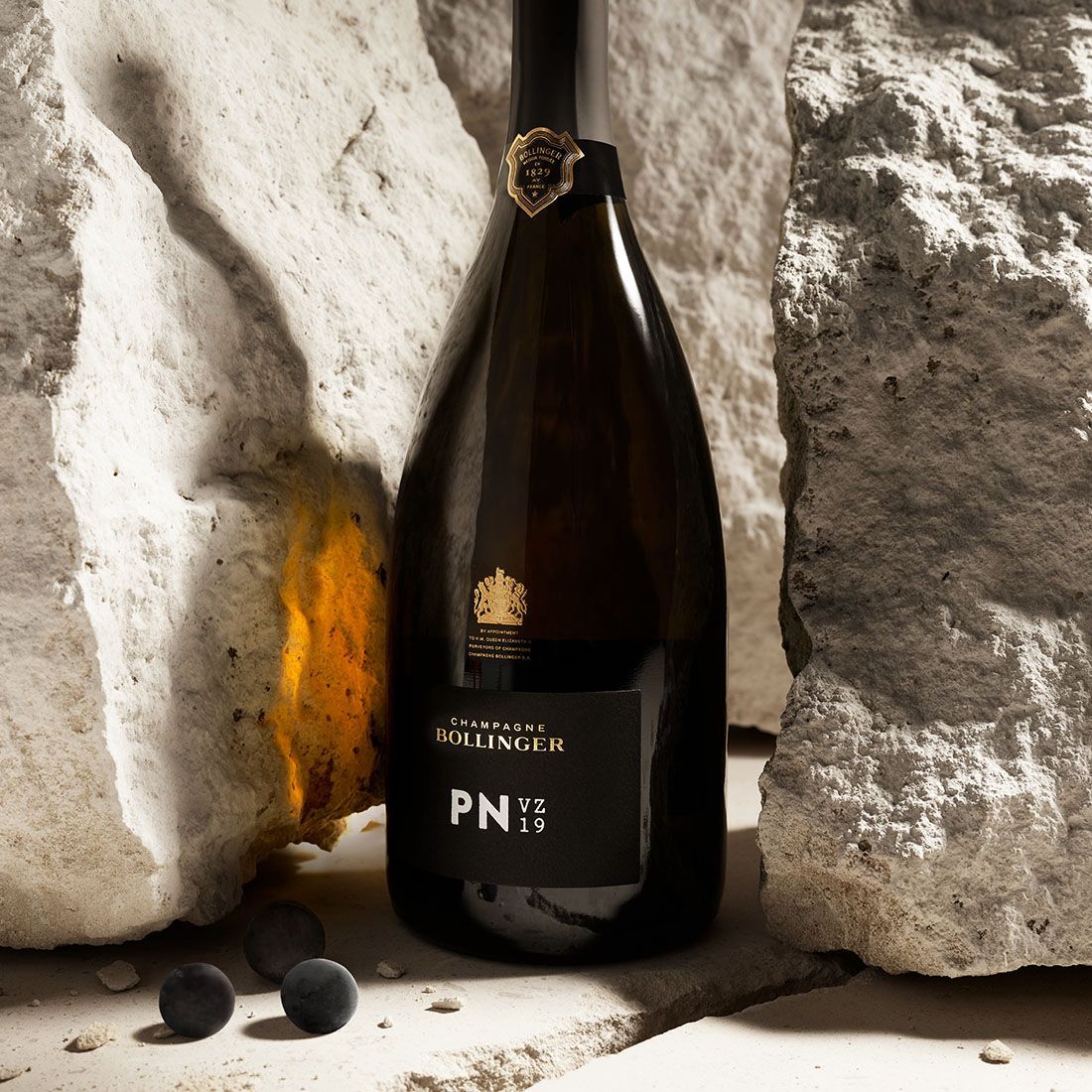 PN VZ19 - Delicate and complex | Champagne Bollinger