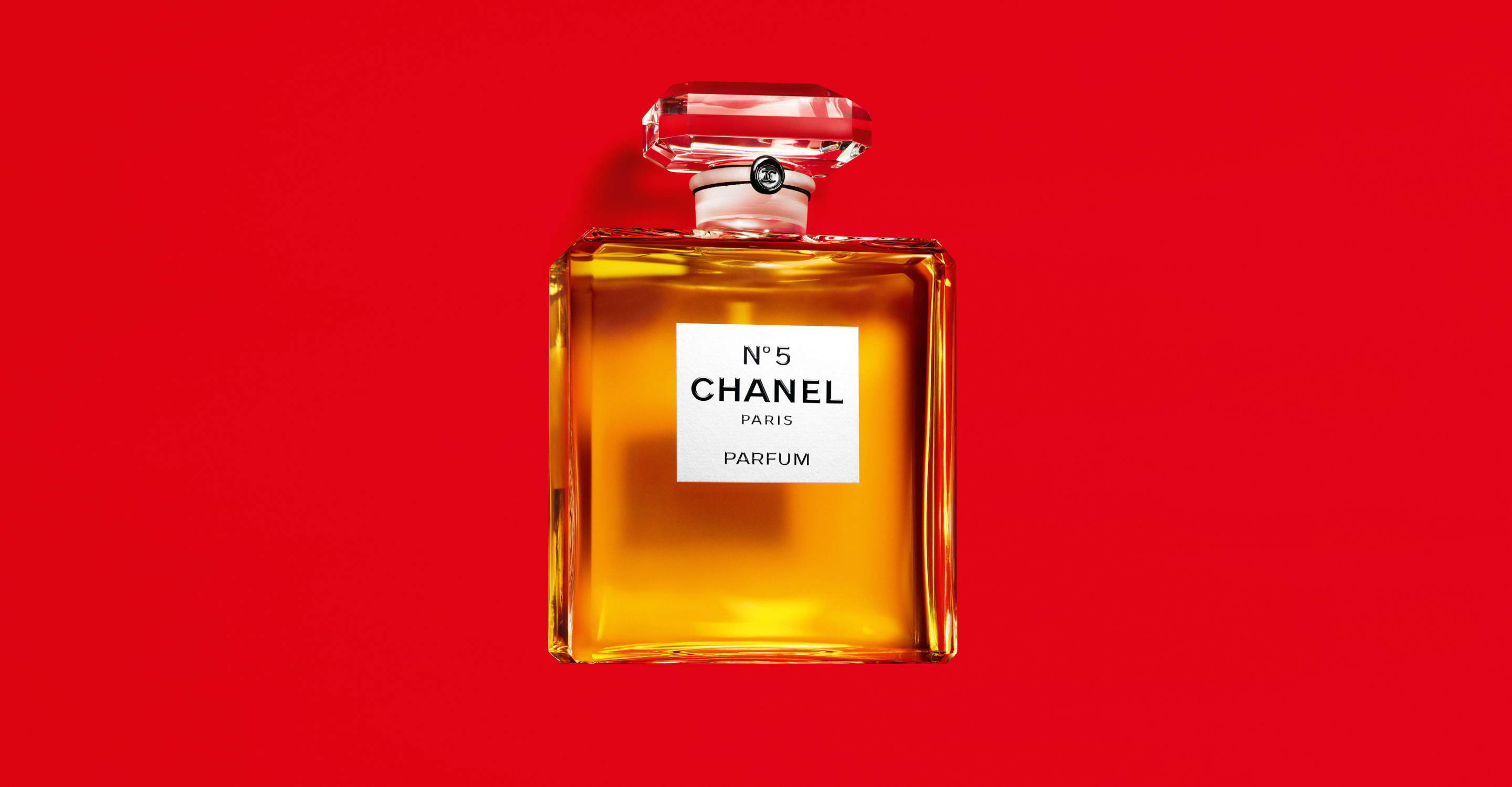 CHANEL N°5 Parfum アートキャンバス シャネルモチーフ アート