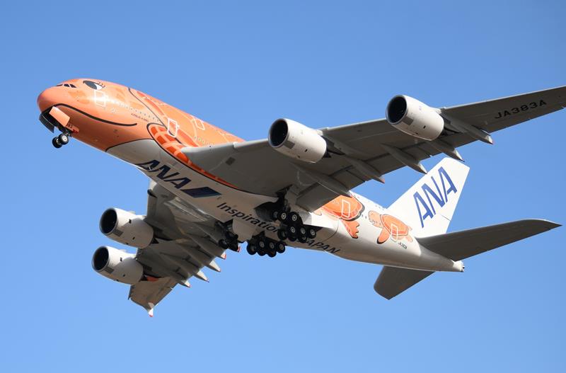 10/16 New…!!フライングホヌ／オレンジBig size1/150 10/16 New