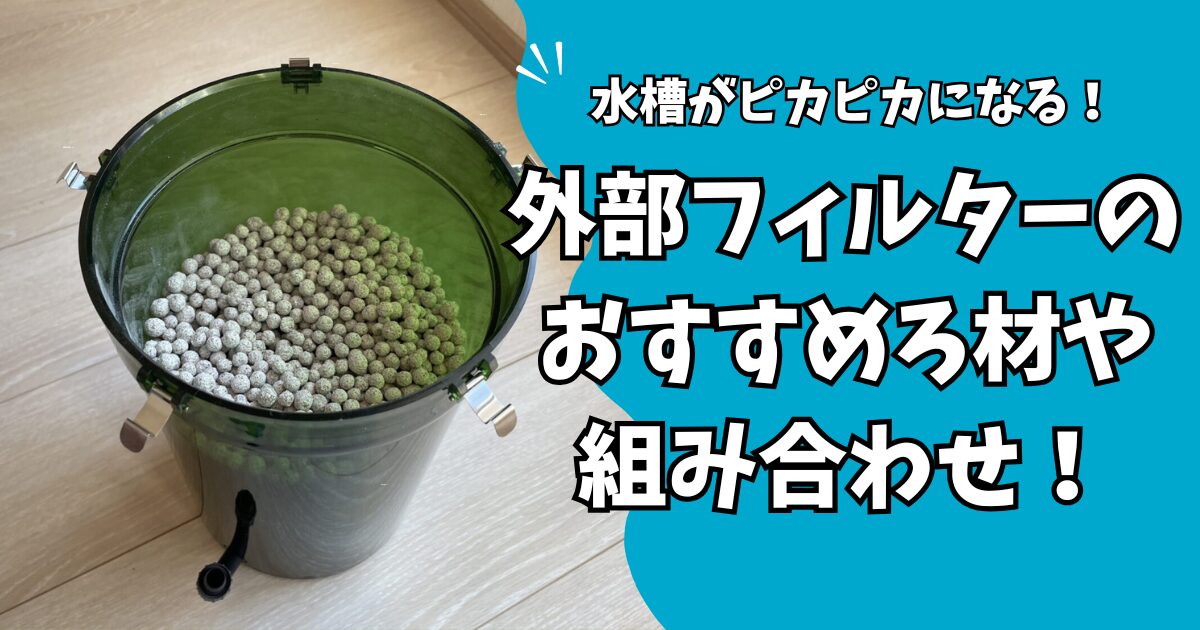 外部フィルターおすすめ ろ材】水槽がピカピカになる!ろ材の順番や最強