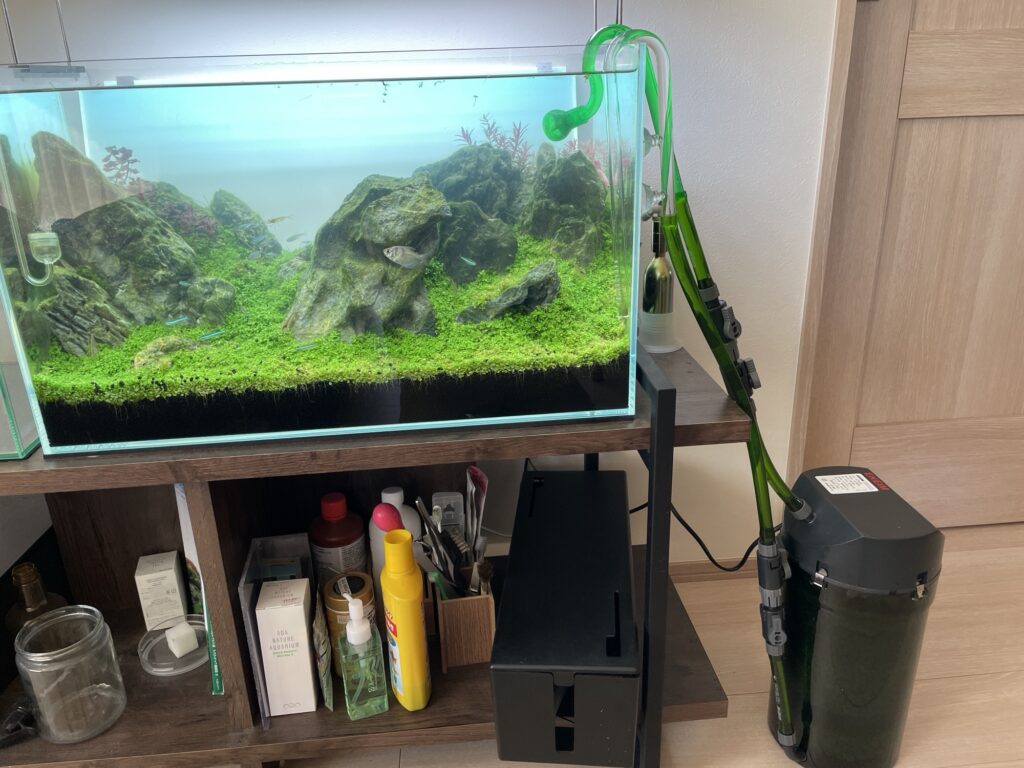 熱帯魚水槽60センチ 外部フィルター セット一式