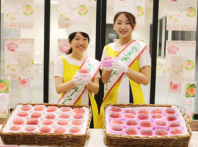 2025年7月1日山梨県知事トップセールス ｜ 東京シティ青果株式会社