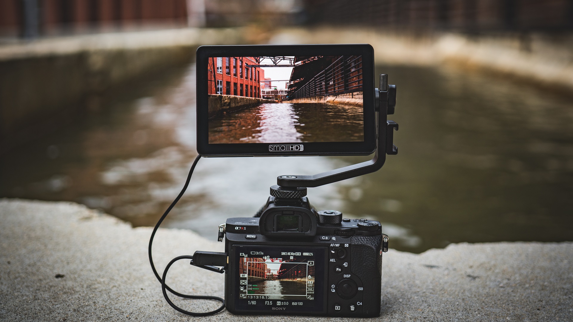 SmallHD FOCUS OLED - New 5.5