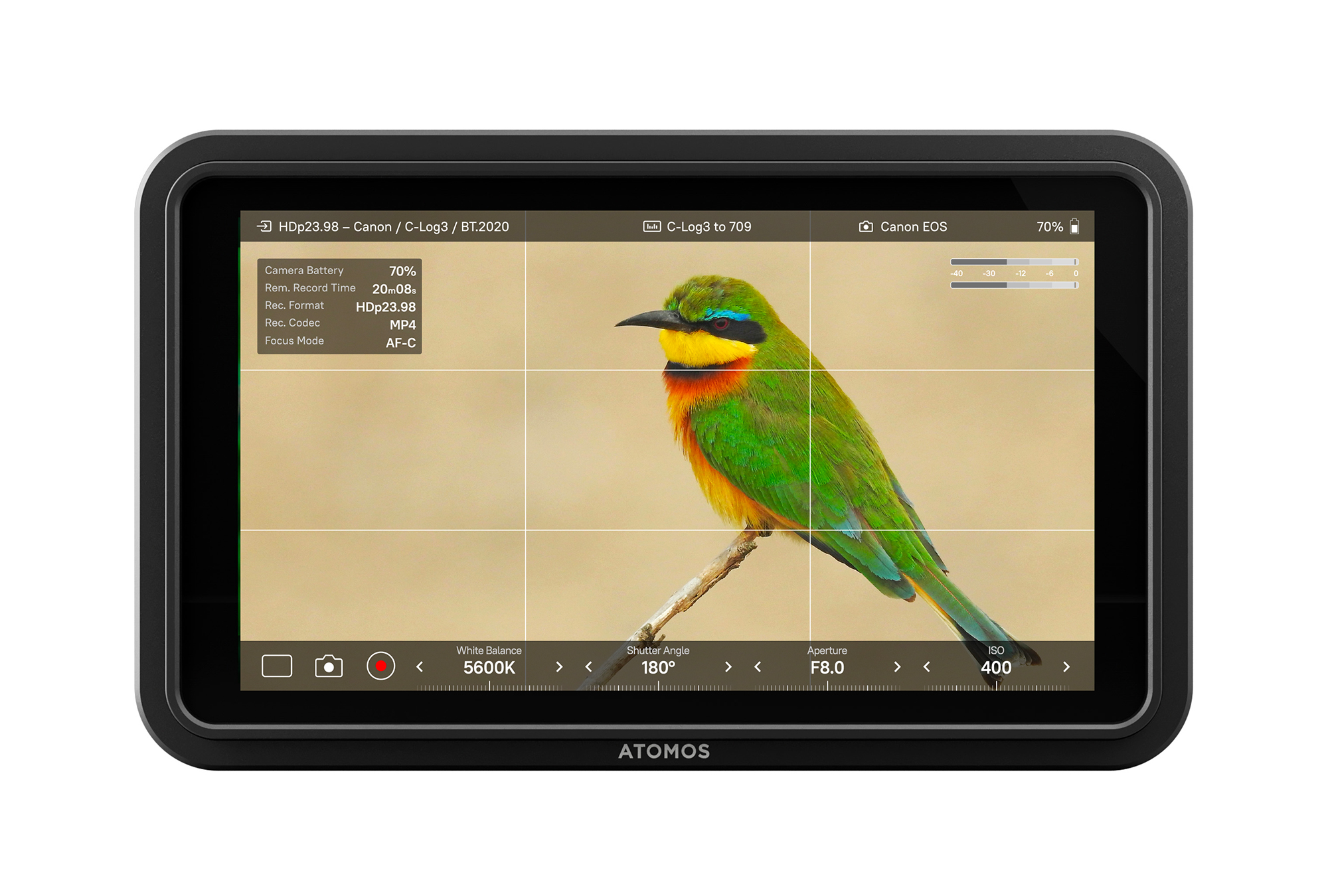 Atomos Shinobi II Released – Slim 5.2” 1,500-nit HDMI Monitor with