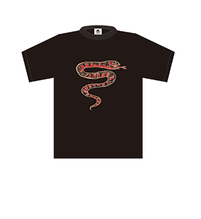 LIVE(ライブスケジュール) | ザ・クロマニヨンズ(THE CRO-MAGNONS)