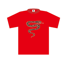 LIVE(ライブスケジュール) | ザ・クロマニヨンズ(THE CRO-MAGNONS)