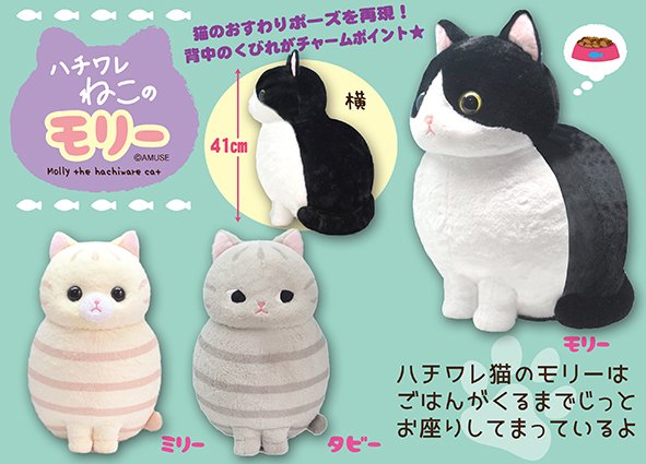 ≪8月の新商品≫ハチワレねこのモリー☆アミューズプライズ-NEW ITEM