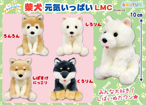 ≪8月の新商品≫くったり柴犬元気いっぱい-NEW ITEM！｜アミューズ最新情報