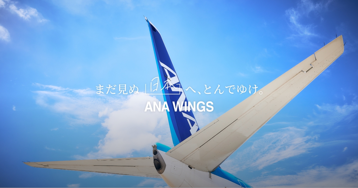 F*0様 AeroPolaris ANA WINGS B737-800 JA88 AeroPolaris ANA WINGS