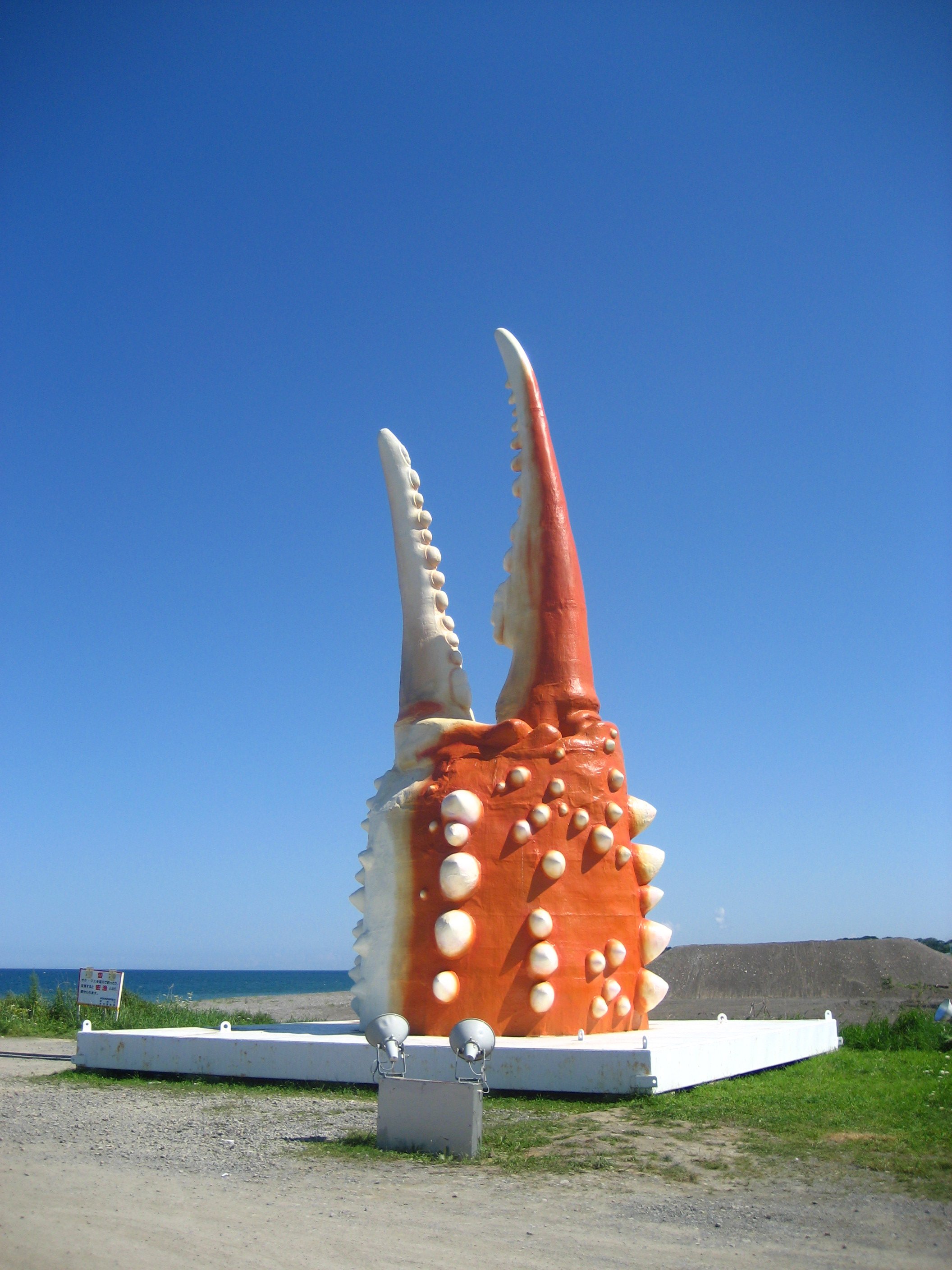 海のギャング四国太平洋産トラウツボマニアックレア標本飾りオブジェ