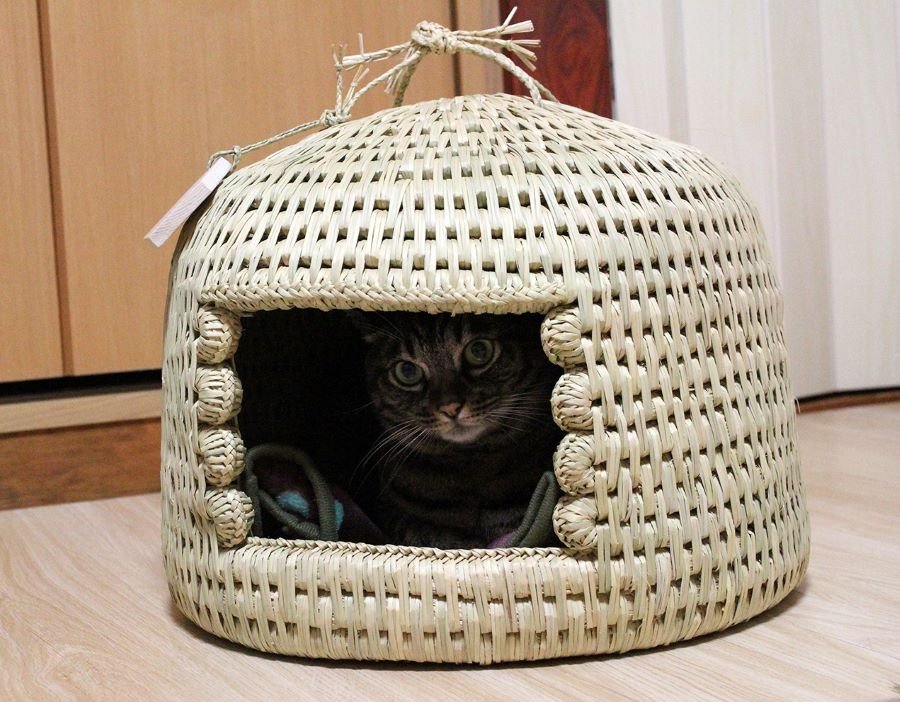 ねこつぐら 長野伝統工芸 『和風総本家』等で紹介された栄村の