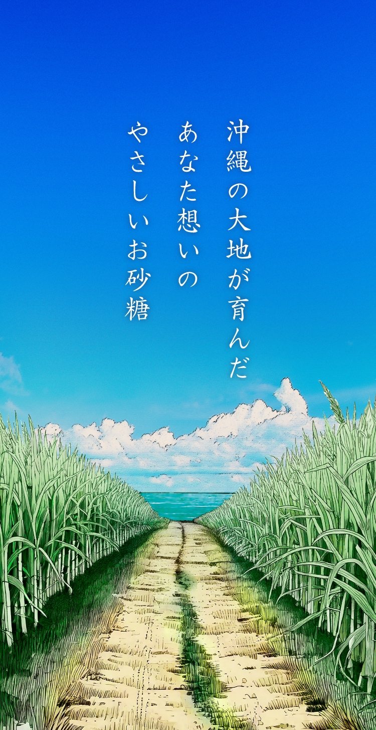 沖縄きび粗糖シマサーター | 株式会社 青い海