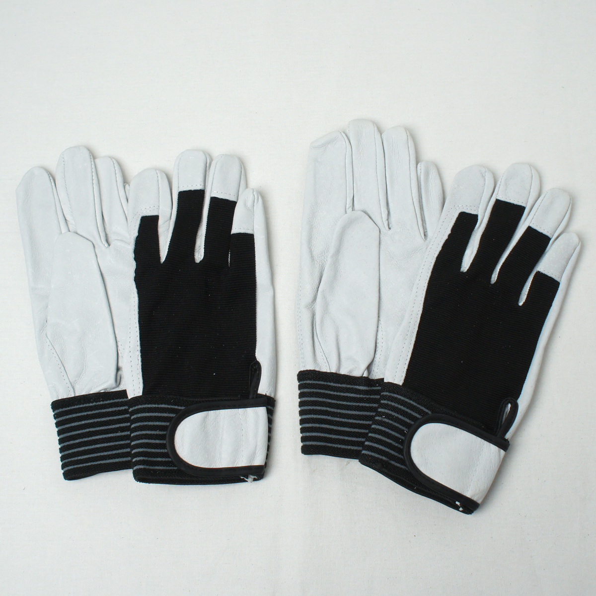 バンディット 豚クレスト 背抜き マジック 白黒 2双組 AG5153 | ACE