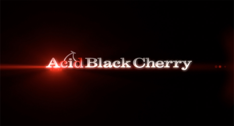 AcidBlackCherry シャングリラ トレカ 4種 コンプリート 71AYD9UPOFL.jpg