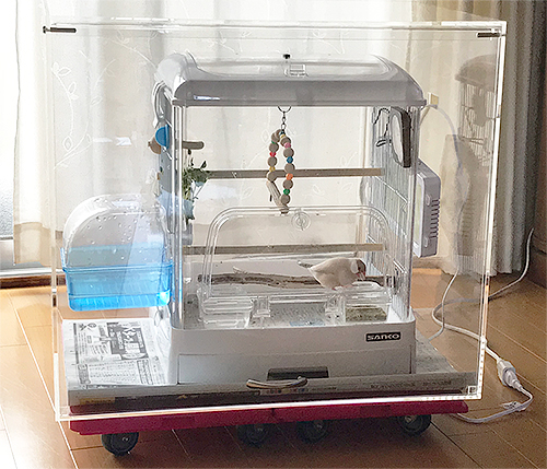 バードケージ（鳥かご）ケース | アクリ屋ドットコム