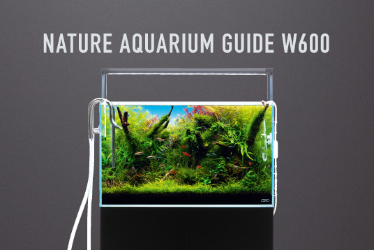 キューブガーデン | ADA - PRODUCT - 水槽関連用品