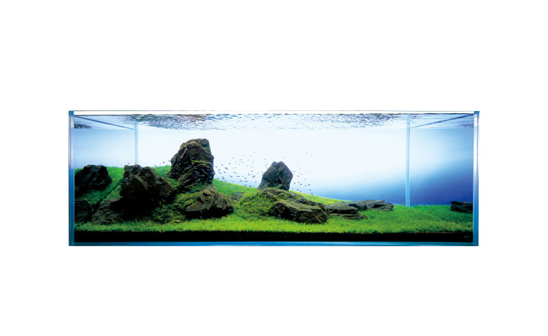 ADA Aqua Design Amano 雲山石セット ADA雲山石セット 雲山石セット ADA雲