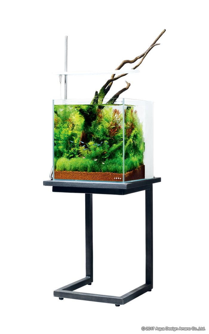 水槽 ADA AQUARIUM CUBE GARDEN 30cm Amazon | ADA CUBE GARDEN ガラス