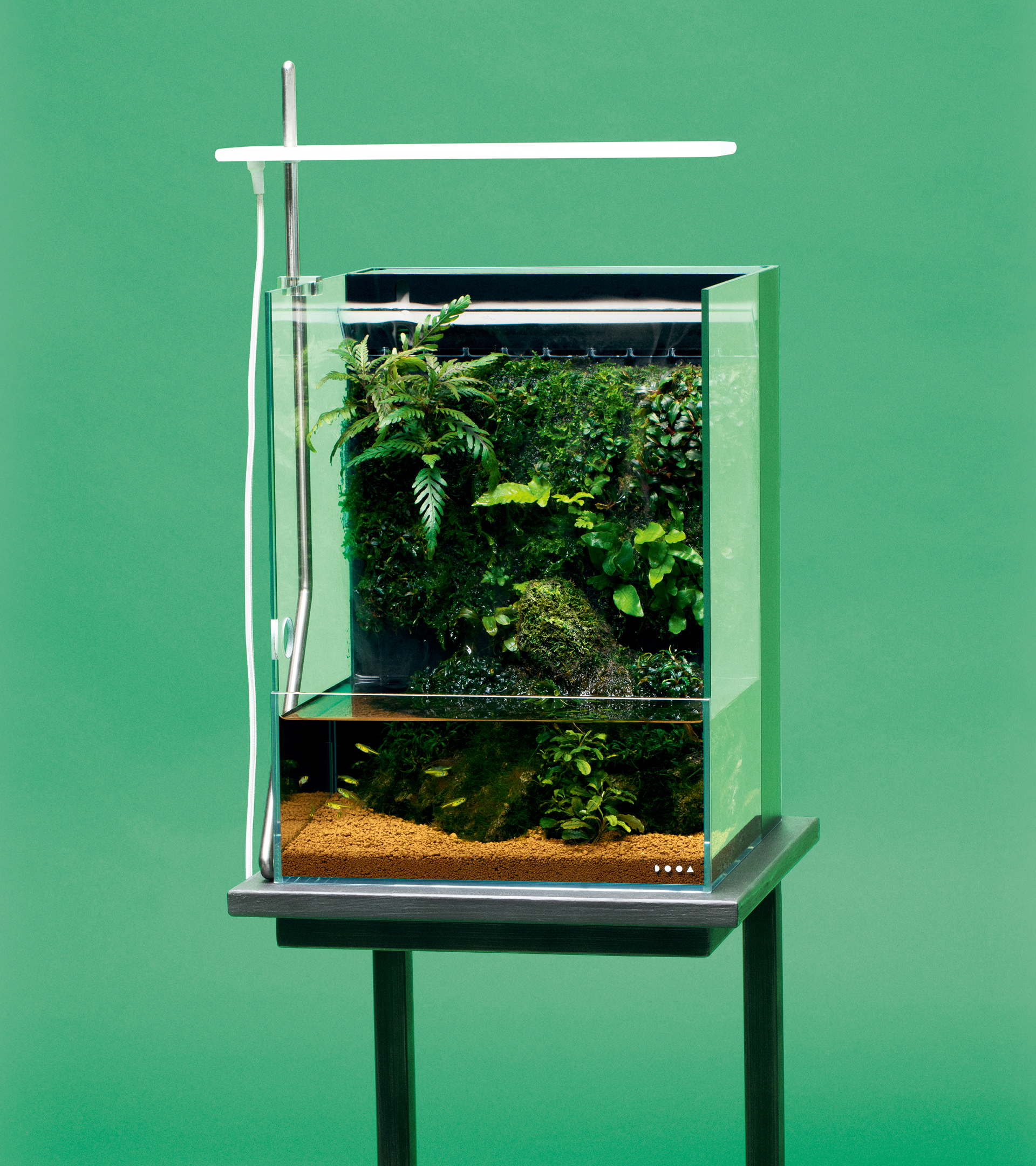 ファッション ADA DOOA ネオグラスパルダ 60 ADA DOOA ネオグラスパルダ 60