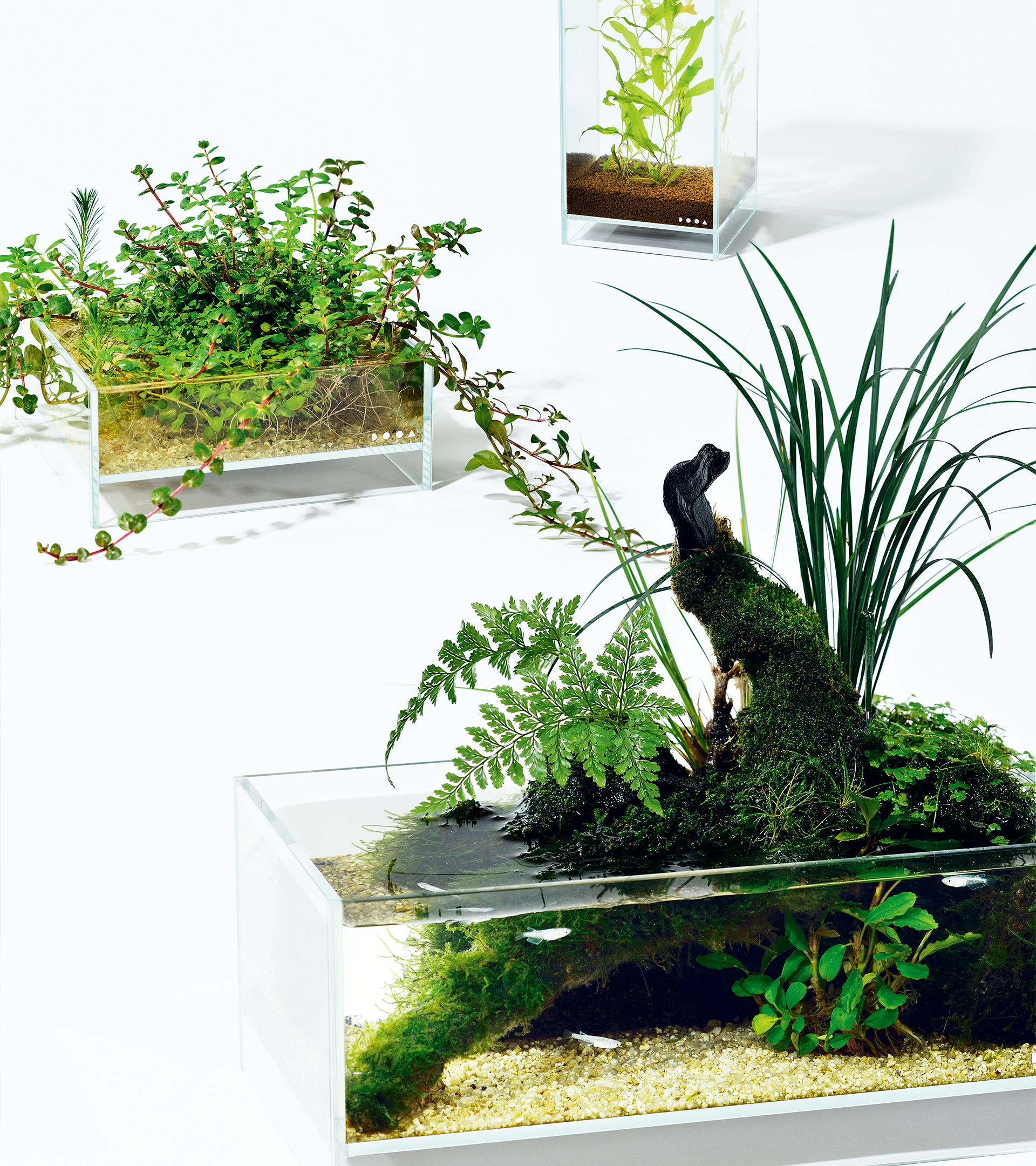 Do!aqua ガラス製円形水槽ロータス3010 Do!aqua ガラス製円形水槽