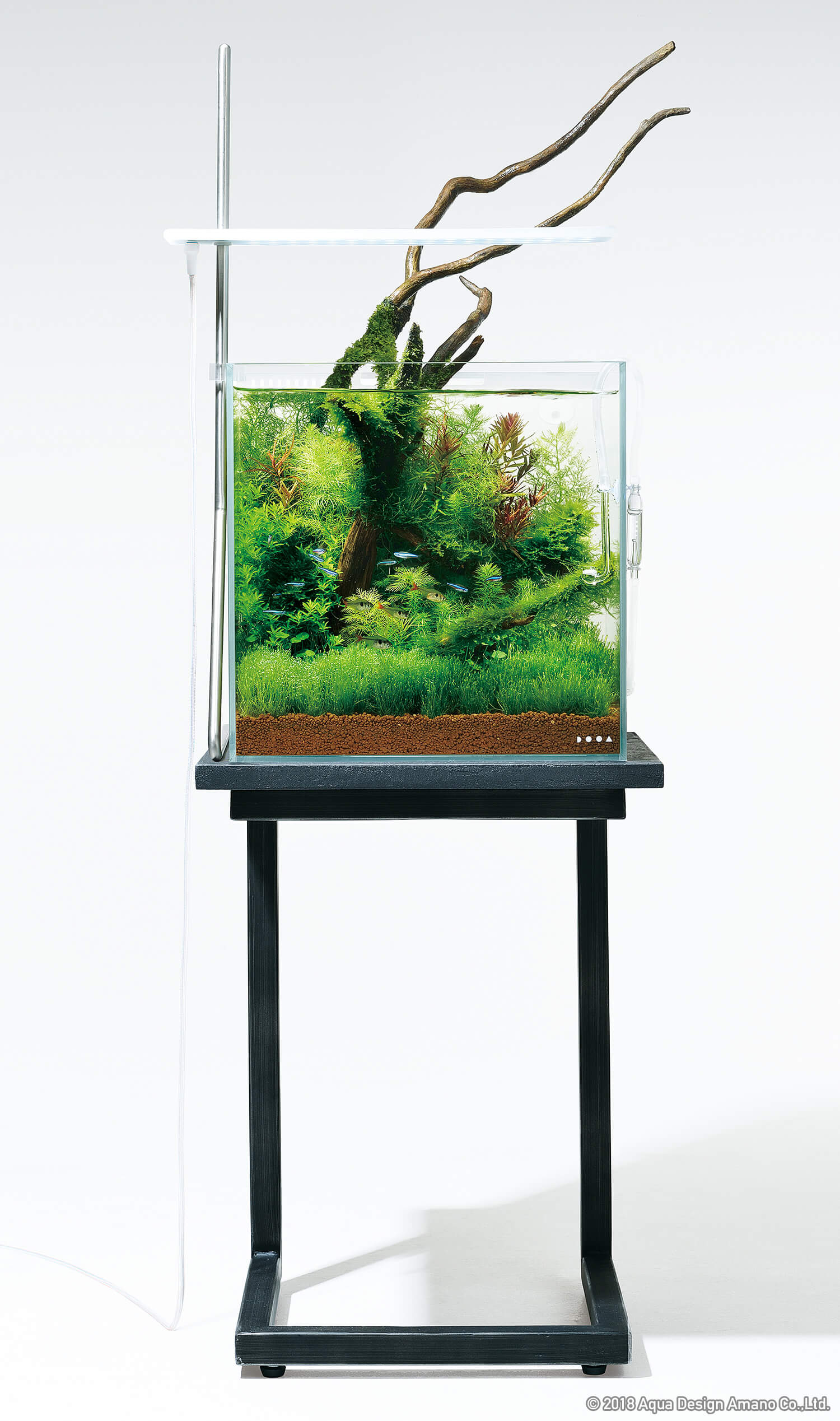 ADA SOL STAND RGB ソルスタンド ① ADA SOL STAND RGB ソルスタンド