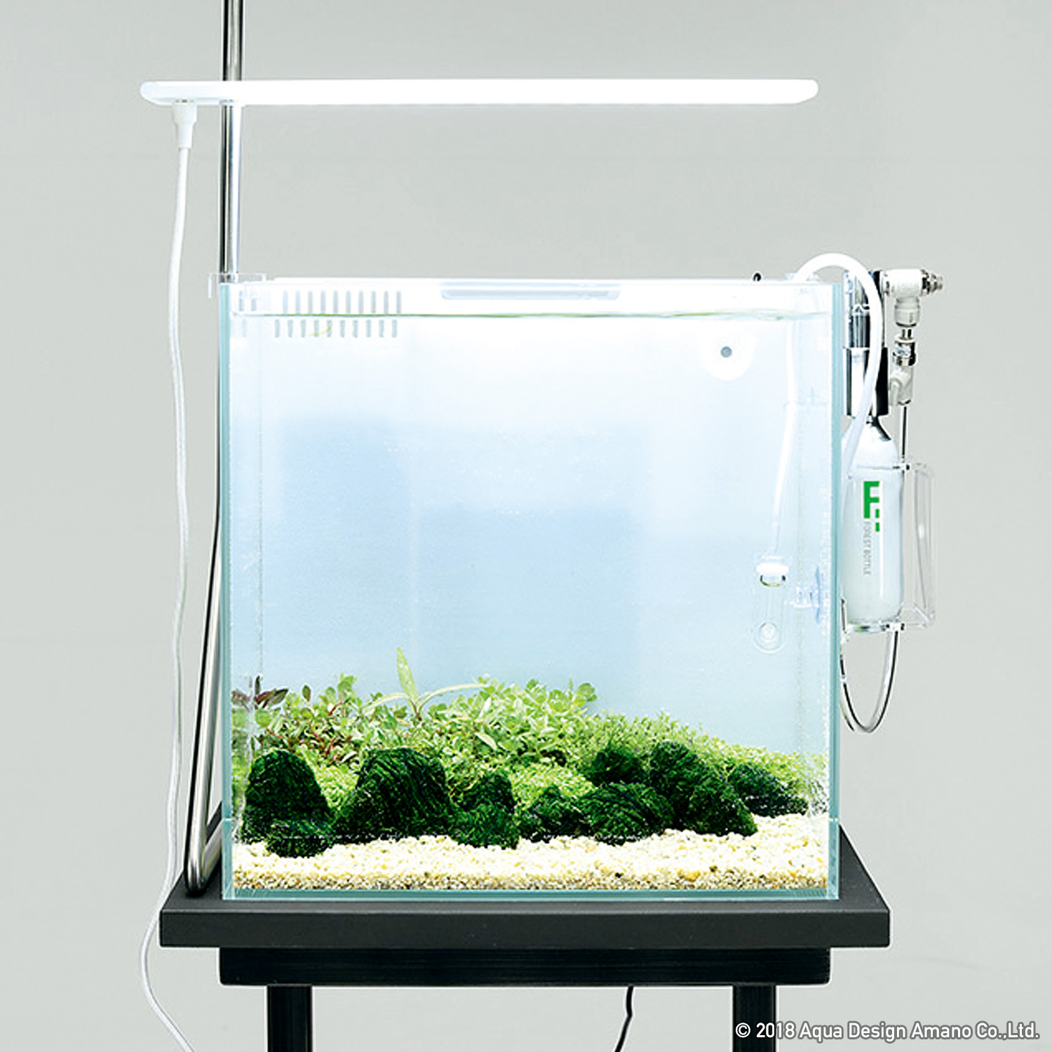 DOOAレシピ】#02「水草の安らぎと癒し」 | AQUA DESIGN AMANO