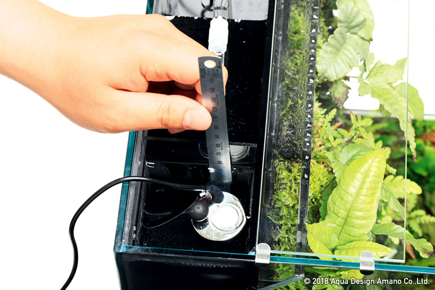 常緑の雲霧林へ、高い演出性と実用性を兼ね備えた