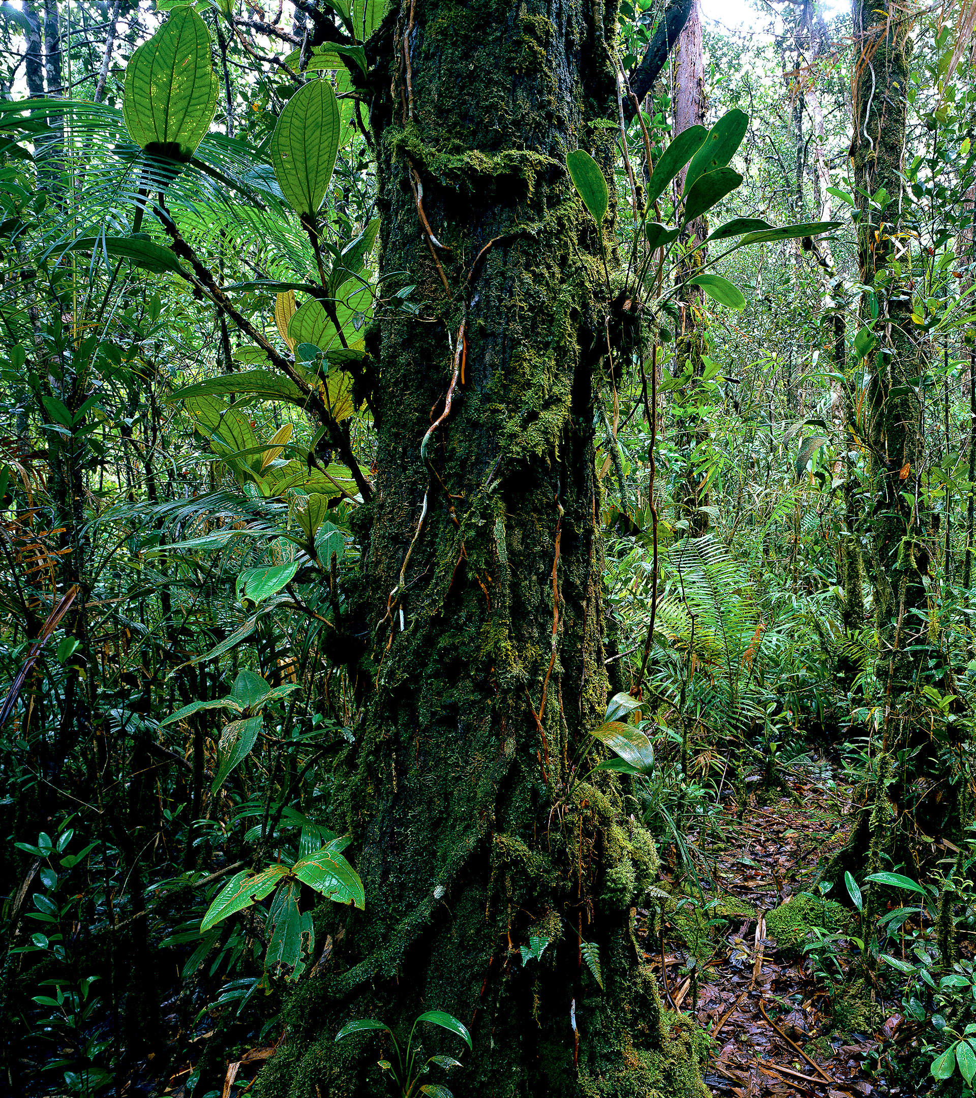 ADAテラベースセット230 TERRA BASE | PRODUCTS | DOOA