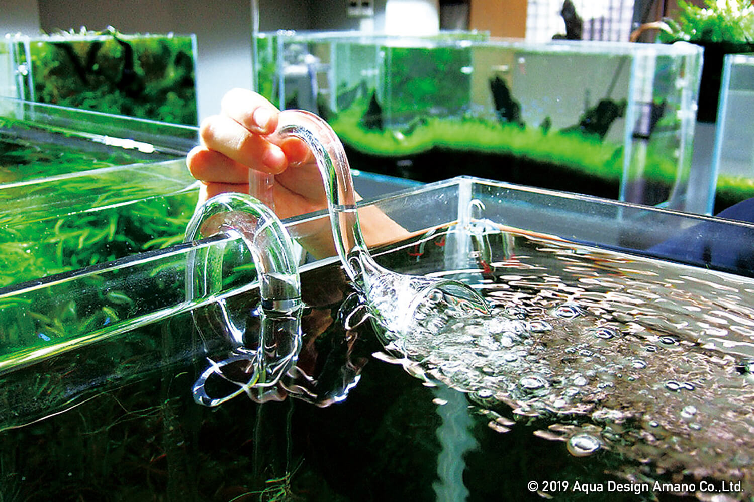 NATURE AQUARIUM GOODS HISTORY - Story 02. 