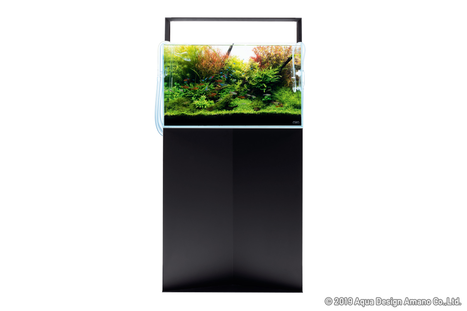 ADA ソーラーRGB リミテッドエディション ブラック ADA ソーラーRGB