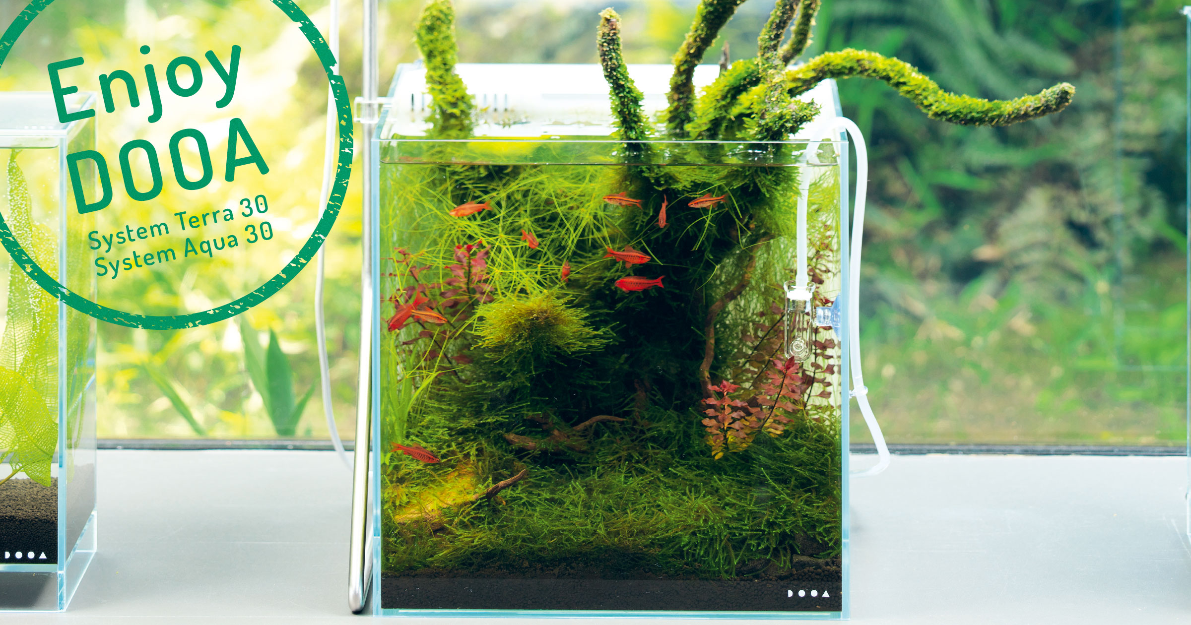 ネオグラスパルダ30 DOOA DOOA システムパルダ 30 ⁄ 60、DOOA