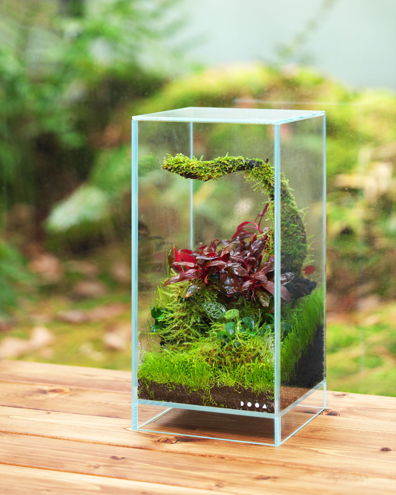 ADA Do!Aqua プラントグラス オーバル25（絶版） タ*カ様 【廃盤＊レア