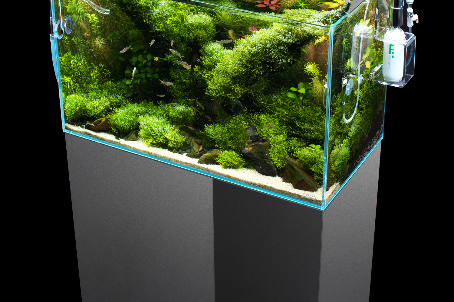 ADA 水槽 アクアデザインアマノ