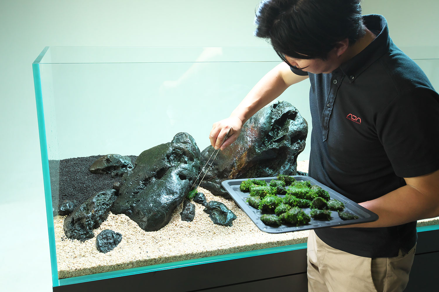 八海石 天然黒石 6個セット 水槽用レイアウト 14kg 八海石 天然黒石 6