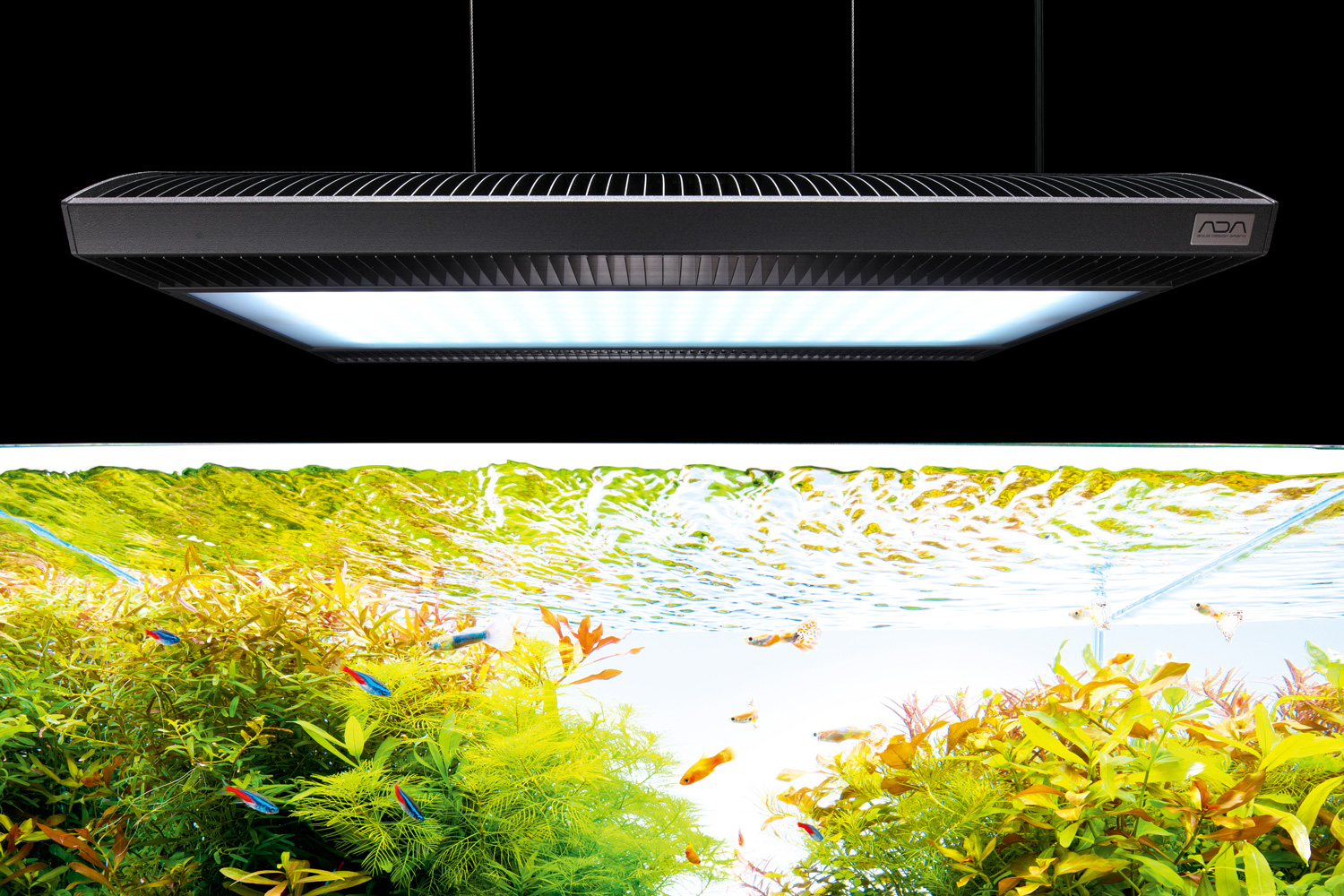 新品未使用ADA ADA ソーラーRGB SOLOR RGB ソーラーRGB (水草育成用LED