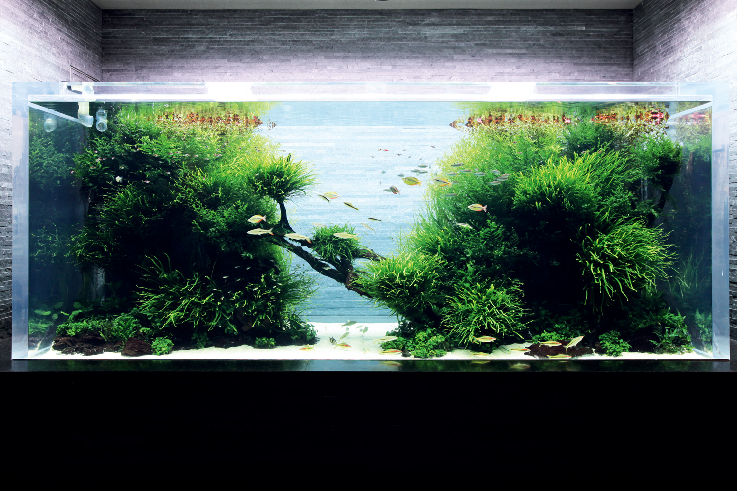 すみだ水族館レポート Vol.01 | AQUA DESIGN AMANO