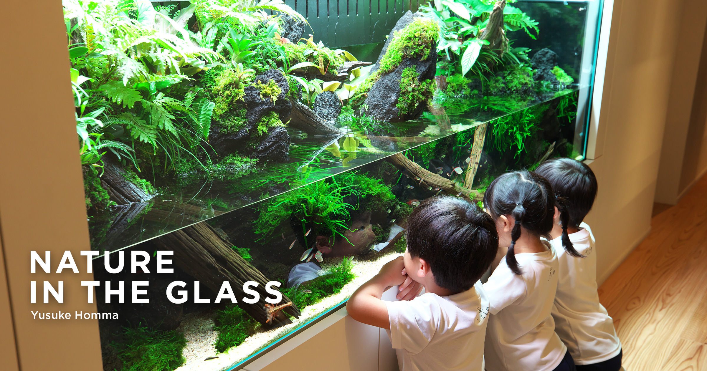 TAKASHI AMANO 水草レイアウト集 英文 ガラスの中の大自然 TAKASHI
