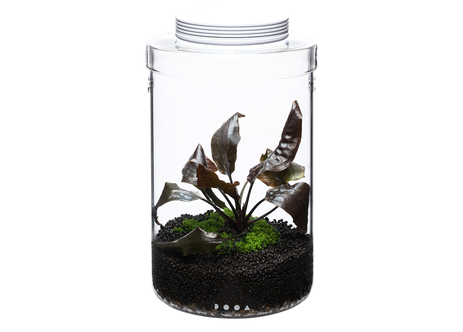 ADA DOOA ガラスポットMARU95