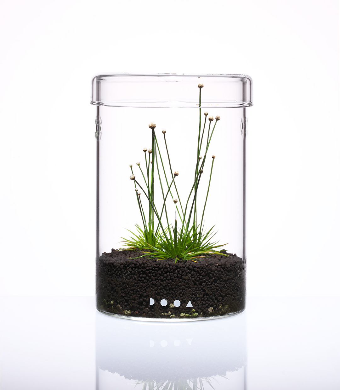 ADAスモールトーク #29 「手軽に身近にグリーンを楽しむ」 | AQUA