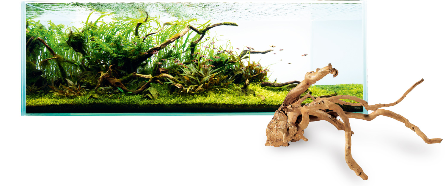 ADA LAYOUT MATERIAL 「流木」 | AQUA DESIGN AMANO