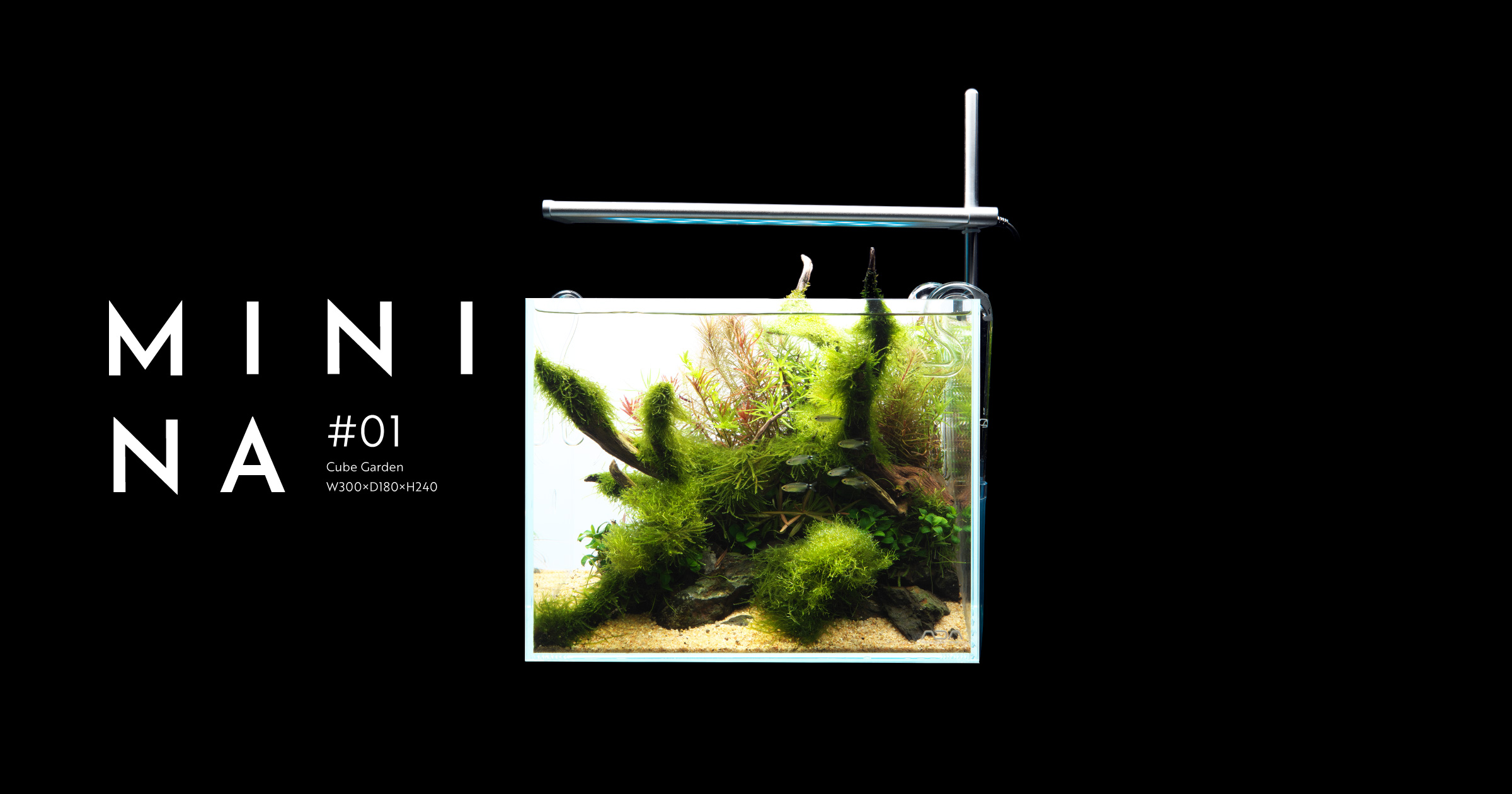 ADA アクアデザインアマノ パレングラスミニ 【公式通販】