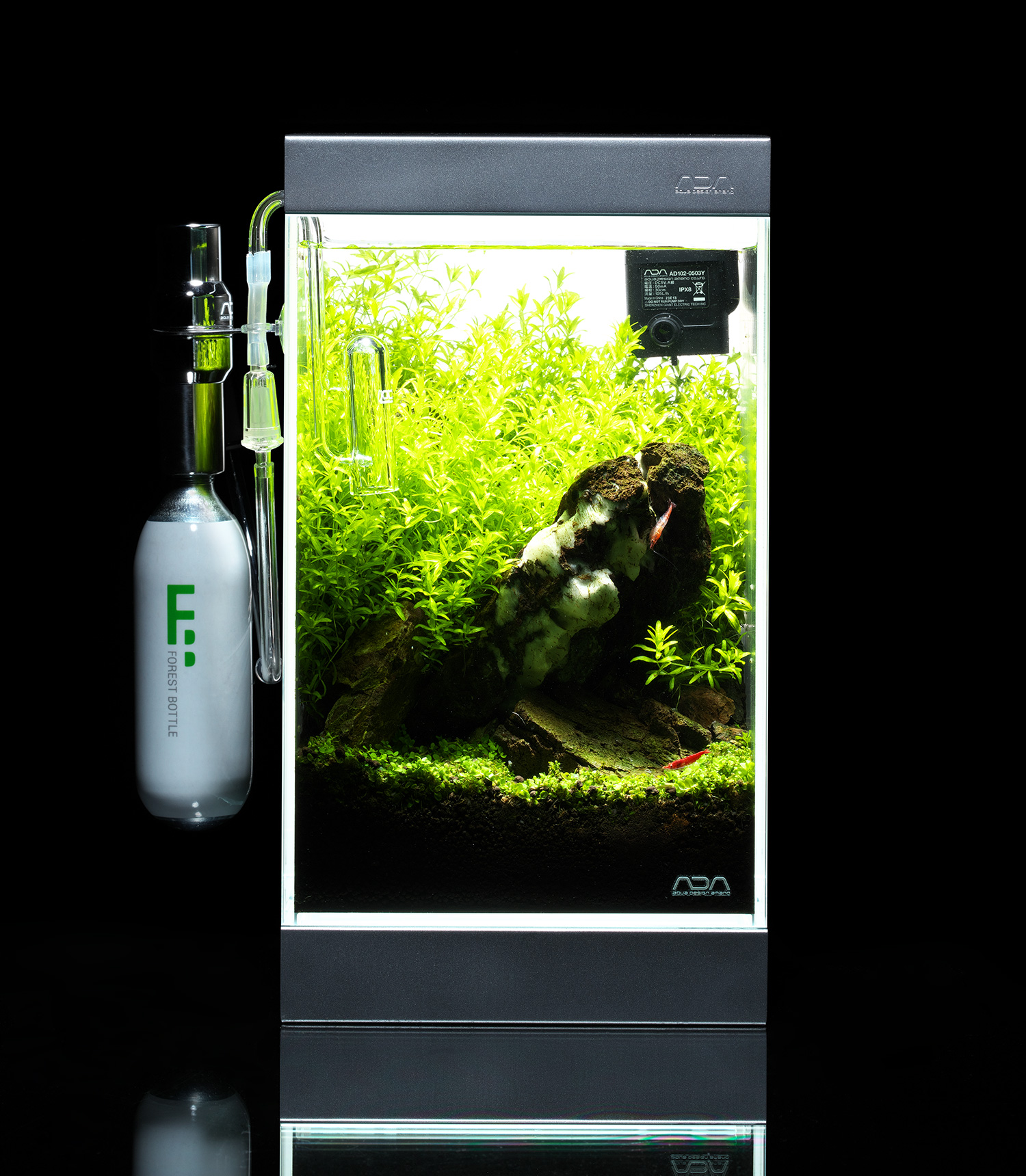 MINI NA_06 「水温上昇は大敵 ミニNAの夏」 | AQUA DESIGN AMANO