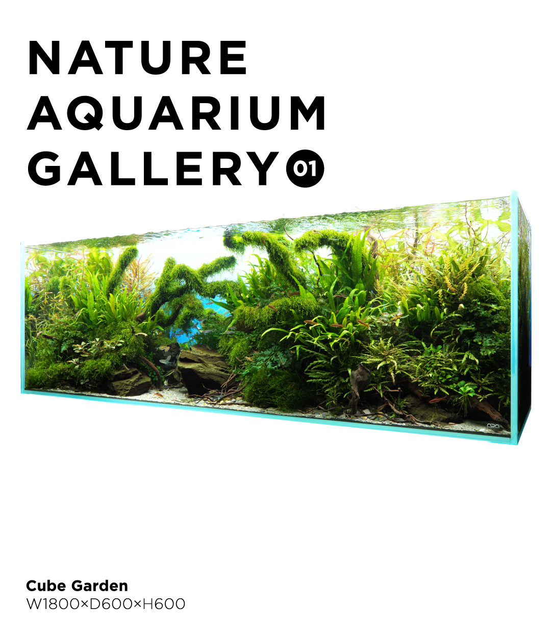 DOOA システムパルダ 30 / 60、DOOA ネオグラス パルダ 30 / 60、DOOA