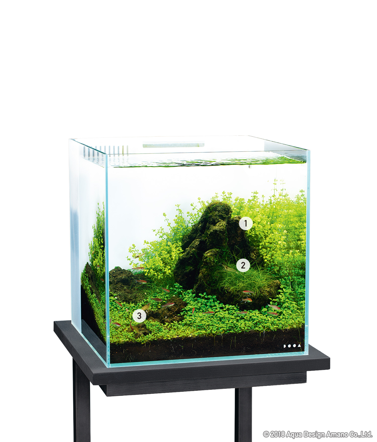 ADAシステムアクア30